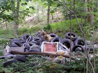 Tires and junk in a forest