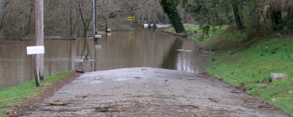 Image on flooding